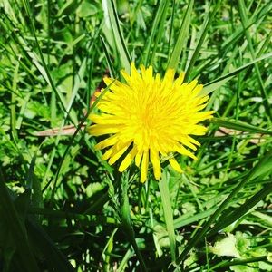 Meet your Posher, Brooklyn